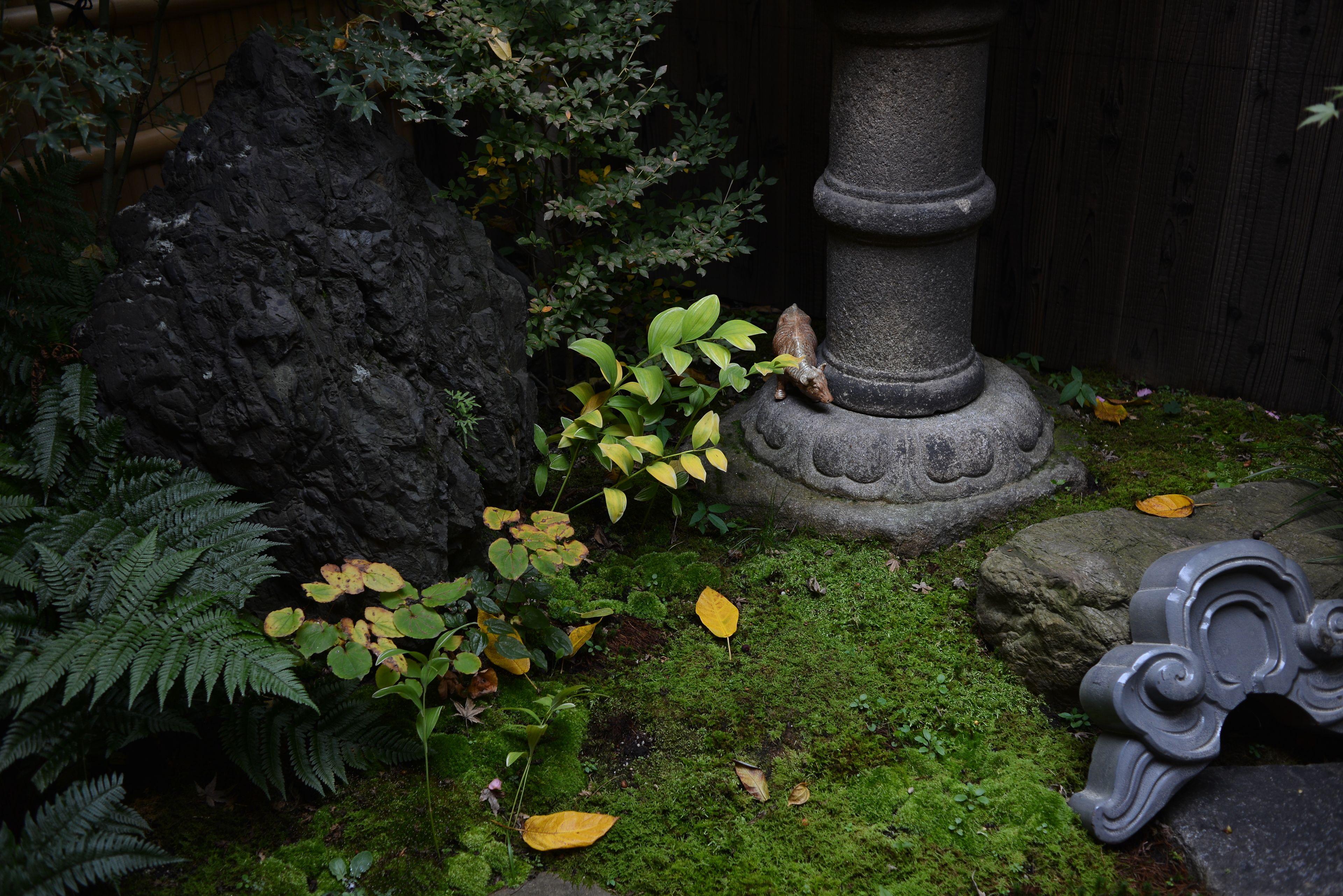Guest House Bokuyado — Photos 2